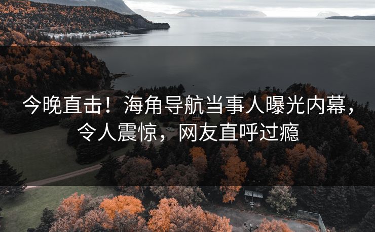 今晚直击！海角导航当事人曝光内幕，令人震惊，网友直呼过瘾