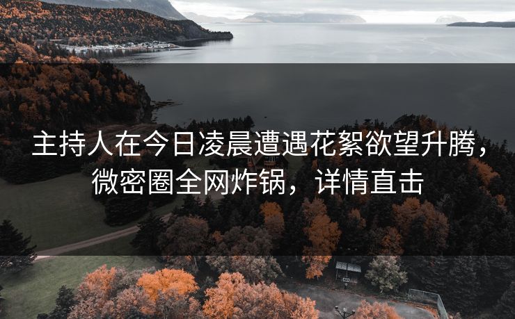 主持人在今日凌晨遭遇花絮欲望升腾，微密圈全网炸锅，详情直击